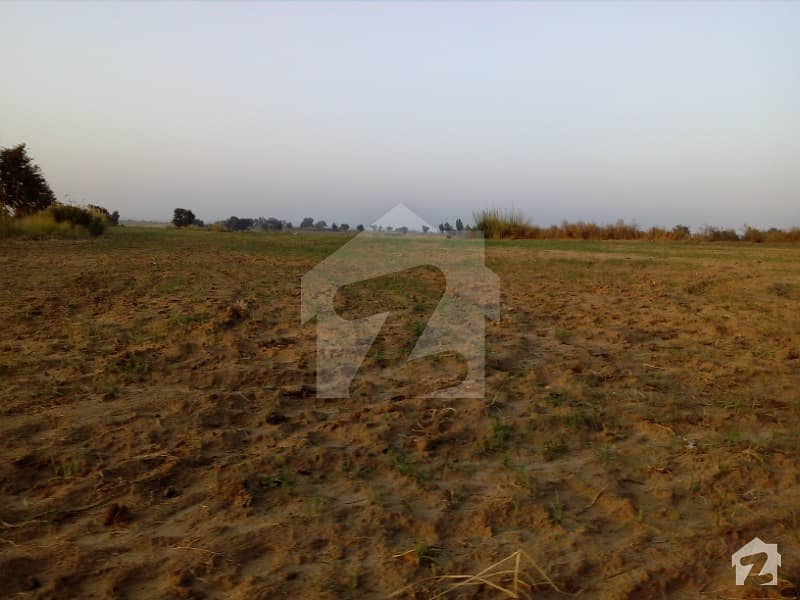 Cheap Land For Agro And Dairy Farm Purpose Sale Near Chakri Motorway Interchange