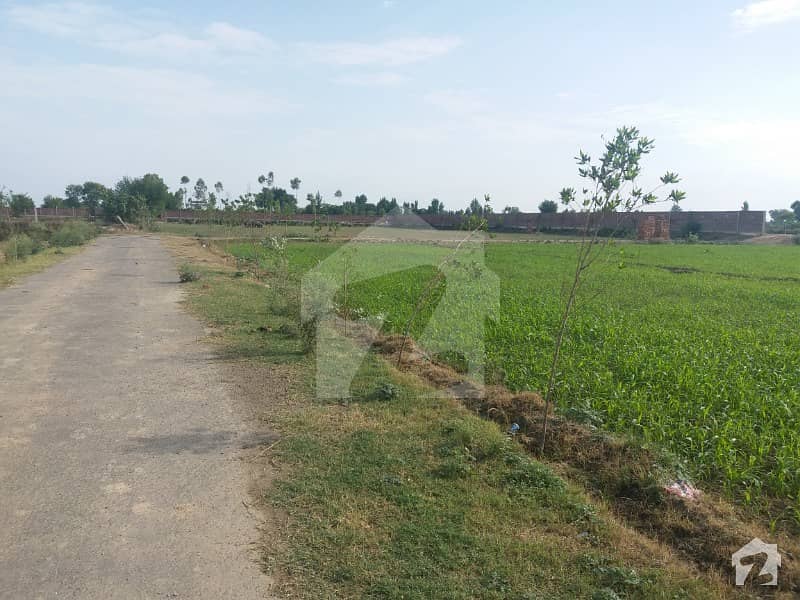 8 Kanal Land For Farmhouse For Sale In Thather Bedian Road