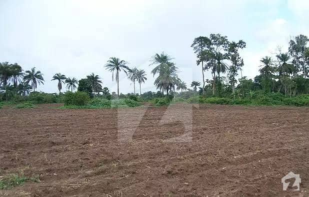 144 Kanal Land For Sale