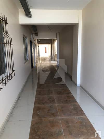 Brand New Apartment Is Available For Rent Brand New Apartment Is Available For Rent