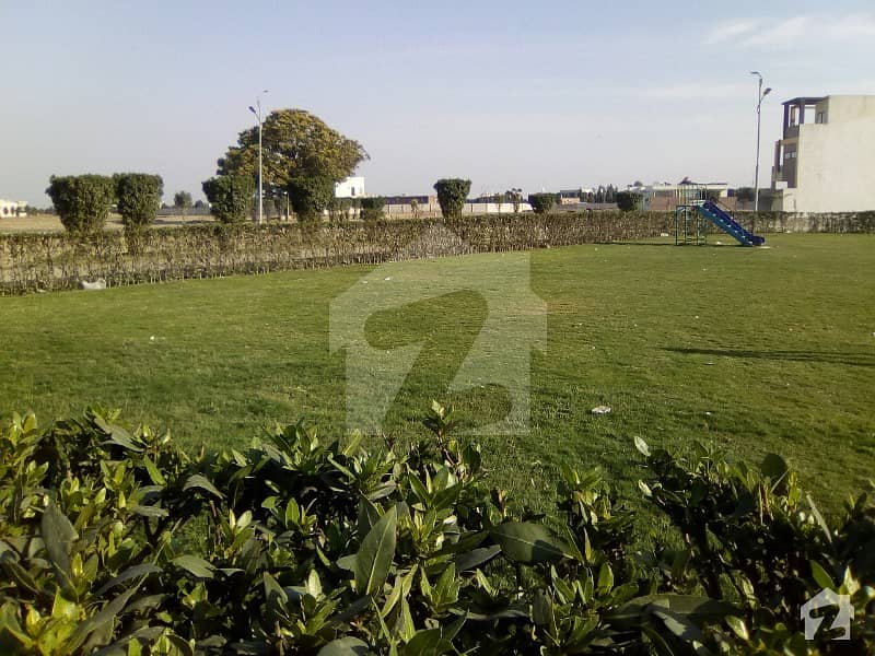 Essay garden phase 2 image