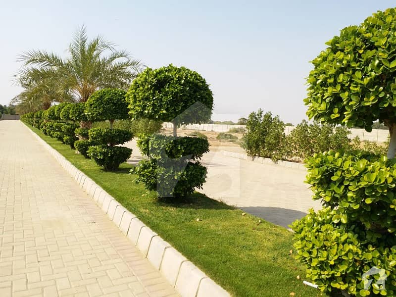 Leased Plots Near Check Post 3 Malir Cantt With Boundary Wall Ready For Sale