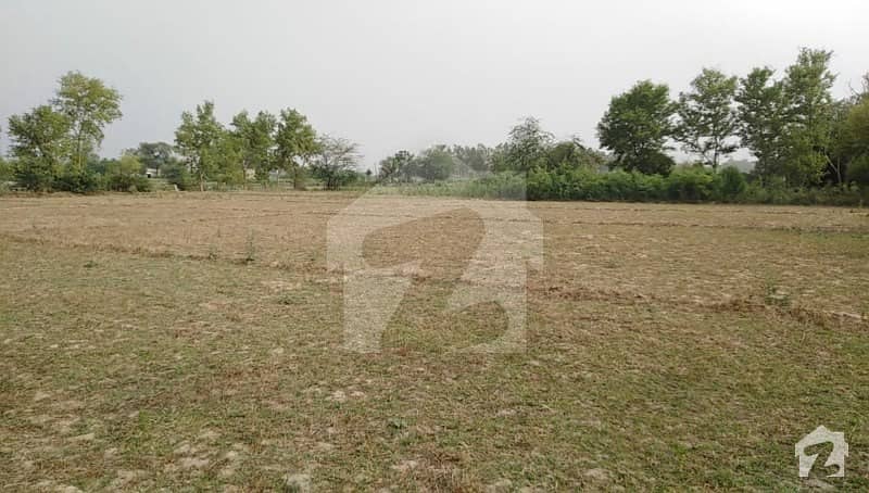 رائیونڈ روڈ لاہور میں 26.8 کنال زرعی زمین 12.06 کروڑ میں برائے فروخت۔