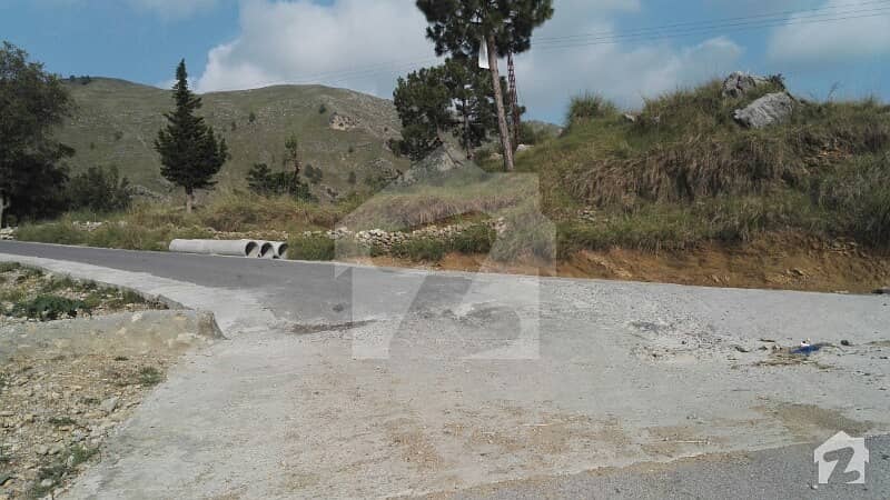 5 Kanal Land In Barian Ayubia Road