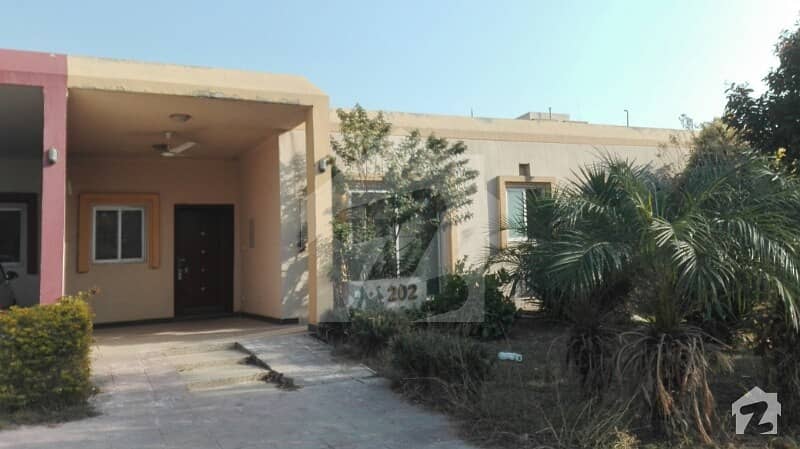 5 Marla Safari Home Single story sector For Rent in Bahria Town phase 8 Rawalpindi