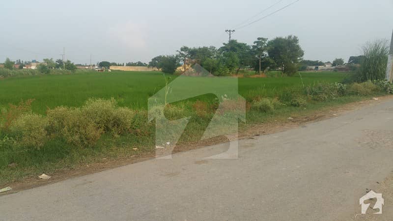 برکی روڈ کینٹ لاہور میں 80 کنال زرعی زمین 6 کروڑ میں برائے فروخت۔