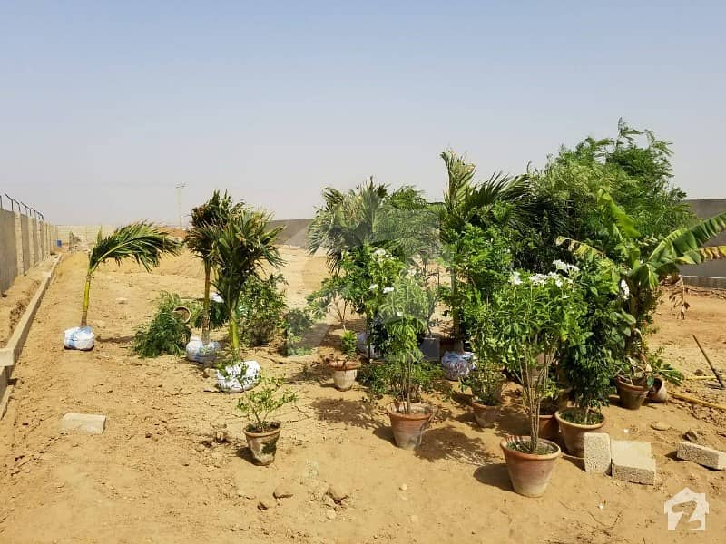 Commercial Farm Houses Land Plots on installments for Sale Super Highway Karachi Commercial Farm Houses Land Plots on installments for Sale Super Highway Karachi