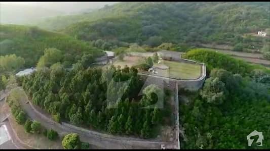 Luxuries Almost 23.5 Kanal Farm House Between Mountains Luxuries Almost 23.5 Kanal Farm House Between Mountains