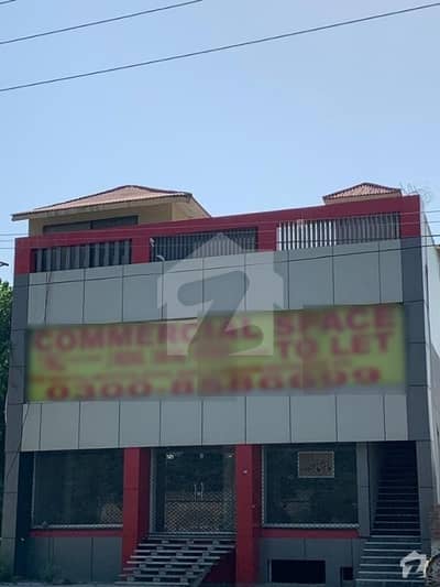 7 Marla Brand New Commercial Plaza For Rent
