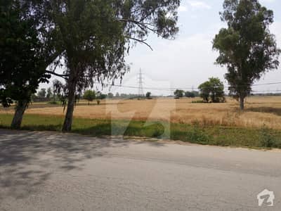 Plot File Is Available For Sale Plot File Is Available For Sale