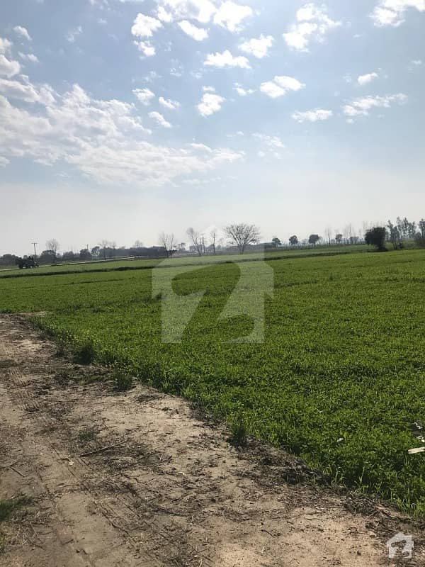 Agricultural Land Is Available For Sale Ferozepur Road, Lahore ...