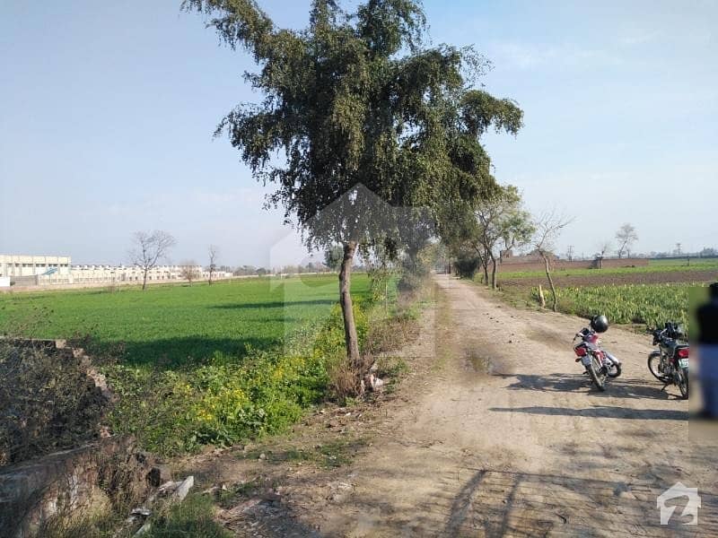 چونگ موہلنوال روڈ لاہور میں 27 کنال زرعی زمین 3.51 کروڑ میں برائے فروخت۔