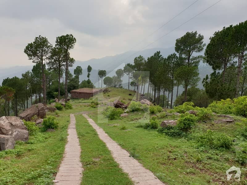 113 Kanal Multi Purpose Land For Sale In Khajut Murree