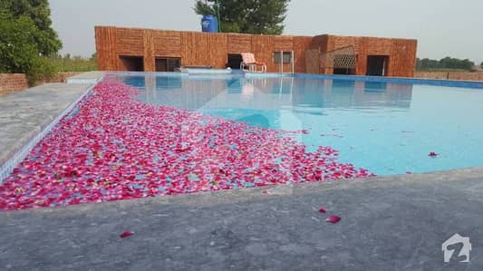 Farm House Chilled Fresh Water At Best Package With Fog Cooling System Farm House Chilled Fresh Water At Best Package With Fog Cooling System