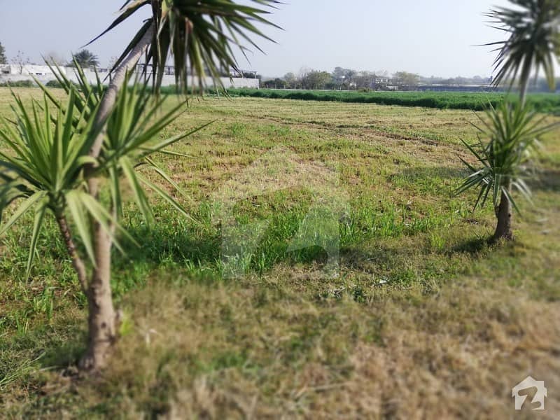 Land For Sale In Chak Shahzad