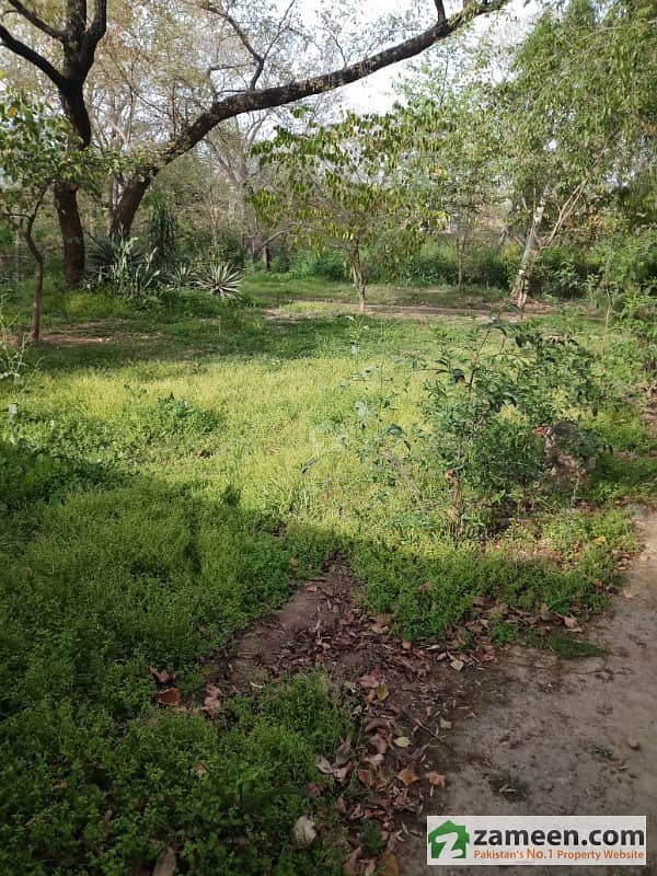 Gulberg Green Plot Is Available For Sale Gulberg Greens, Gulberg