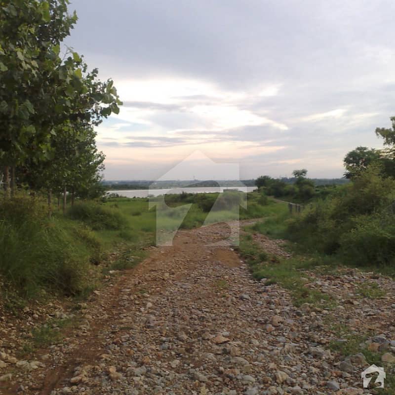 Farmhouse Land At A Very Cheap Price For Sale Shahpur Dam, Fateh Jang