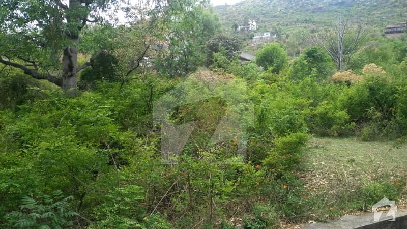 1 Kanal Residential Plot For Sale In Judicial Town Islamabad