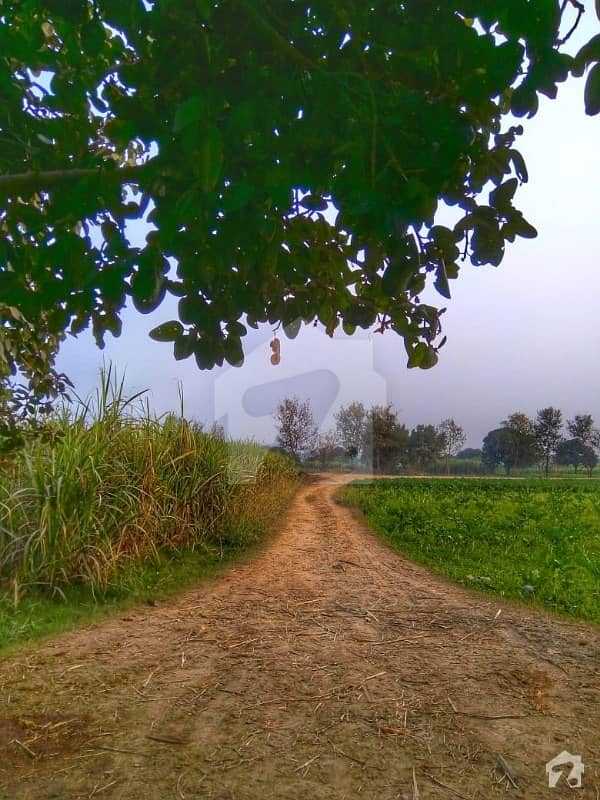 Agricultural Land Is Available For Sale At Mongi Bangla Road