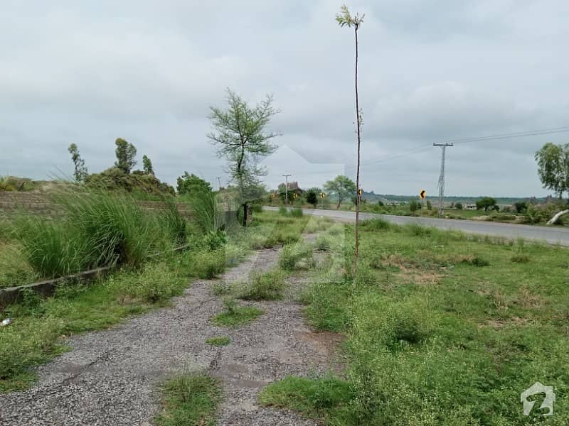 Commercial Plot Is Available For Sale