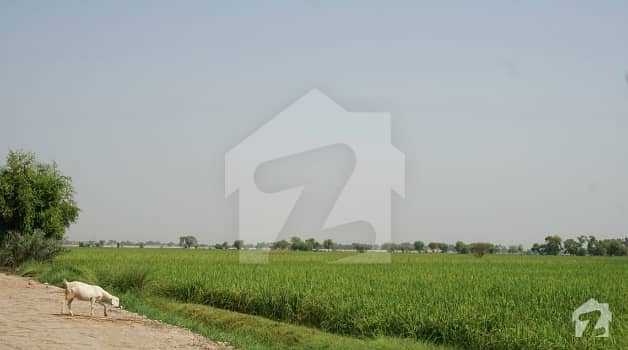 52 Kanal Agriculture Land For Sale