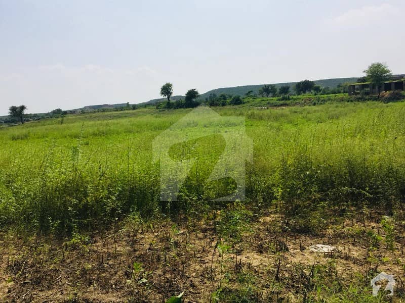 5 Kanal Plots For Sale Available In Shah Allah Ditta D13