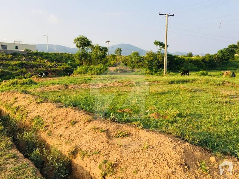 4 Kanal Plots For Sale Available In Shah Allah Ditta D13