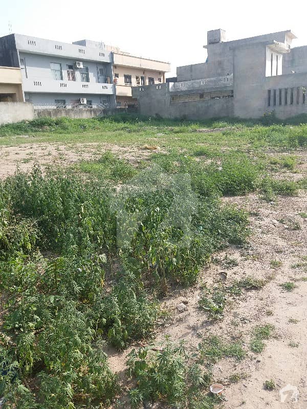 One Kanal Plot For Sale