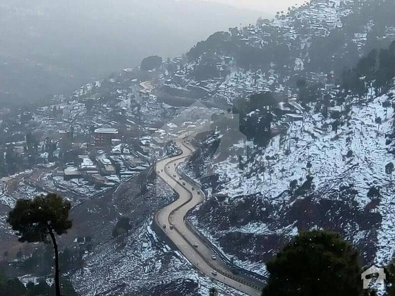 کولڈانہ روڈ مری میں 1 کنال رہائشی پلاٹ 60 لاکھ میں برائے فروخت۔ کولڈانہ روڈ مری میں 1 کنال رہائشی پلاٹ 60 لاکھ میں برائے فروخت۔