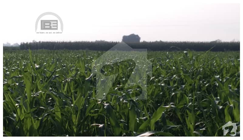 22 Acre Agricultural Land For Sale With Huge Tube Well In Barki Road
