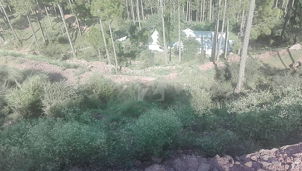 1 Kanal Plot Available For Sale On Murree Expressway