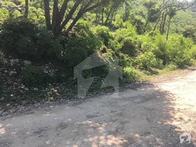 20 Kanal Land Is Available For Sale For Form House In Upper Shah Dara 8 Km From Bhara Kaho Road