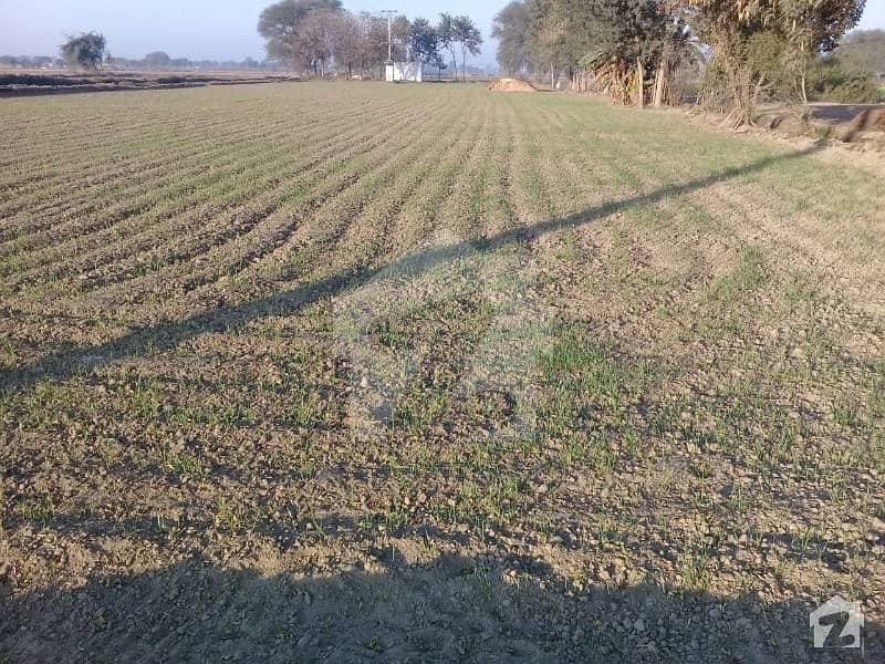 کچہ کھوہ خانیوال میں 29 کنال زرعی زمین 1.45 کروڑ میں برائے فروخت۔ کچہ کھوہ خانیوال میں 29 کنال زرعی زمین 1.45 کروڑ میں برائے فروخت۔