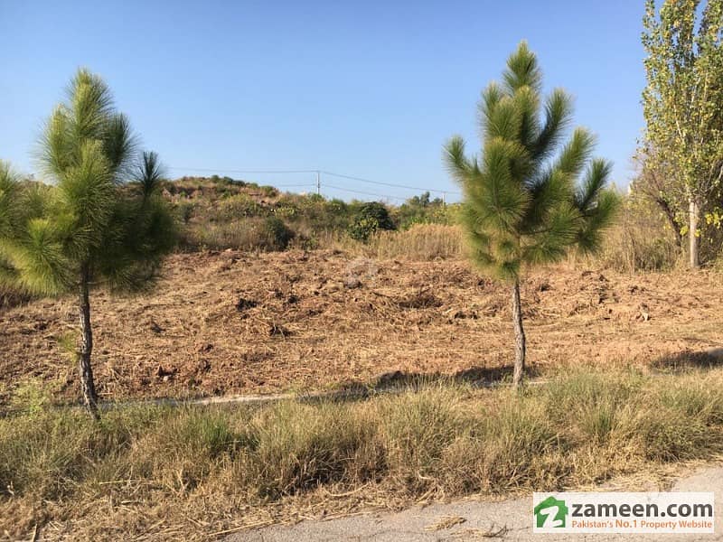 5 Kanal Naval Farm House Plot Available For Sale In Sector B Naval