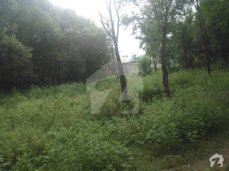 2 Kanal Plot For Sale 2 Kanal Plot For Sale