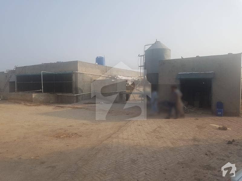 Egg Layer Farm With Automatic Machine System - Factory For Sale