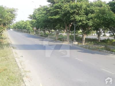 10 Marla Plot Available For Sale In Johar Block Hot Location 10 Marla Plot Available For Sale In Johar Block Hot Location