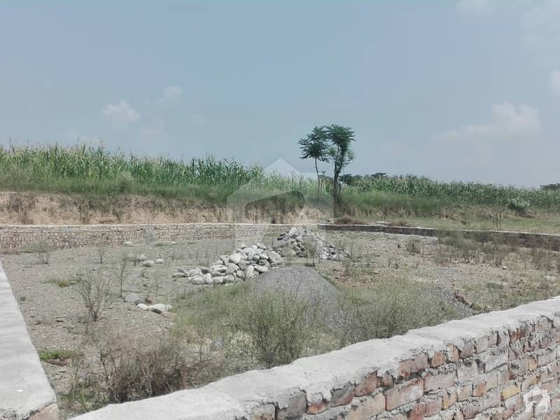 Plot Is Available For Sale Nartopa Road Haripur Plot Is Available For Sale Nartopa Road Haripur