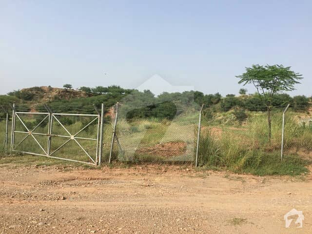 50 Kanal Land Is Available For Sale In Chakri Near Motorway