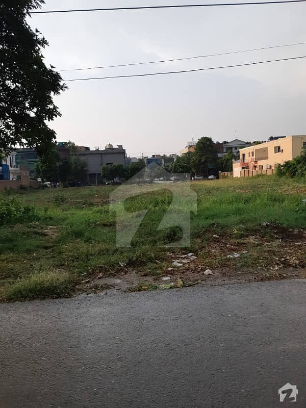 6 Kanal Plot Rare Option Y Block 50 Road Near Park Top Location