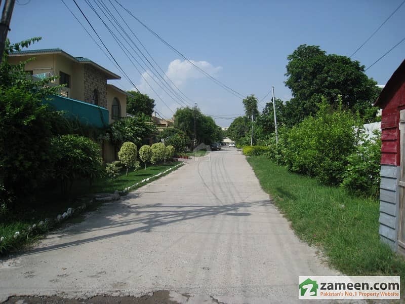 Very Beautiful Stunning Location 800 Sq/yd Residential Plot For Sale At