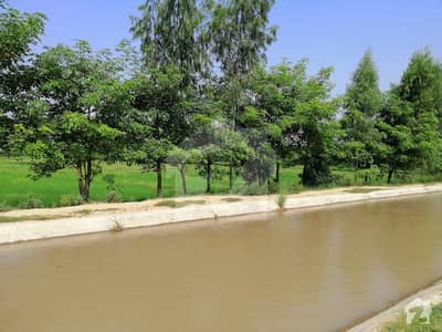 12 ACRE AGRICULTURE LAND ON MAIN CANAL ROAD 24 HOURS WATER SUPPLY IDEAL FOR AGRICULTURE  AND FARM HOUSES 45 MINUTE DRIVE FROM LAHORE ELECTRICITY ALSO AVAILABLE 70 LAKH PER ACRE
