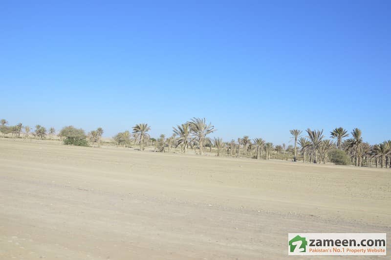 300 Acre Land For Sale In Shumali Ankdara Gwadar