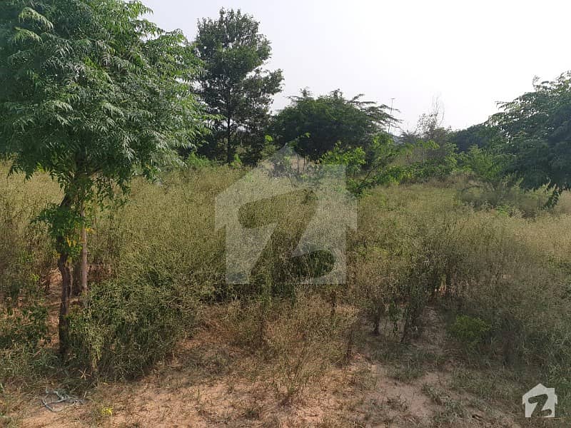 1 Kanal Plot For Sale In Block A