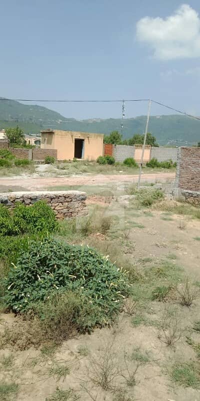 Plot For Sale Ali Town With Boundary Plot For Sale Ali Town With Boundary