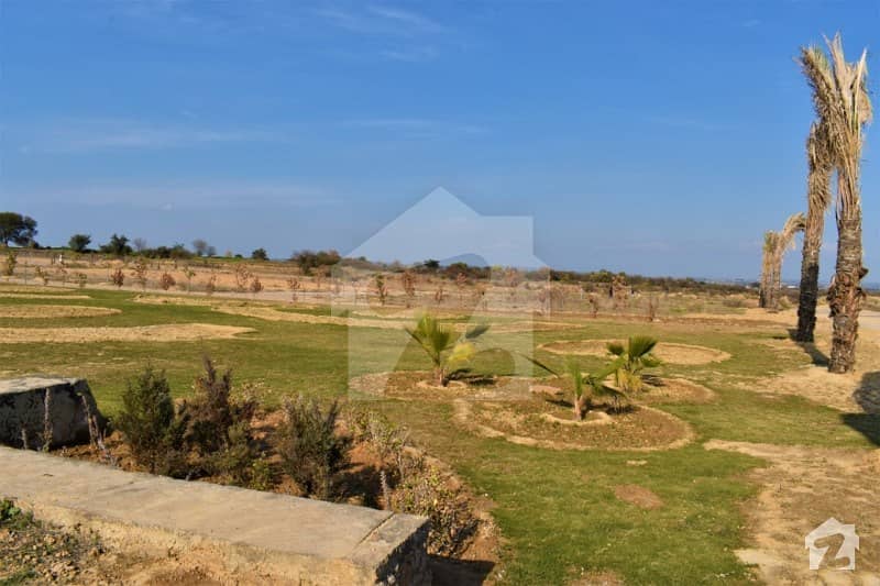 Green City Plot Is Available For Sale