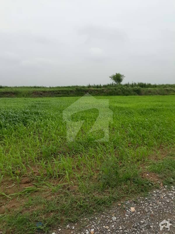 Plot Is Available For Sale Urgent I-14 25x50
