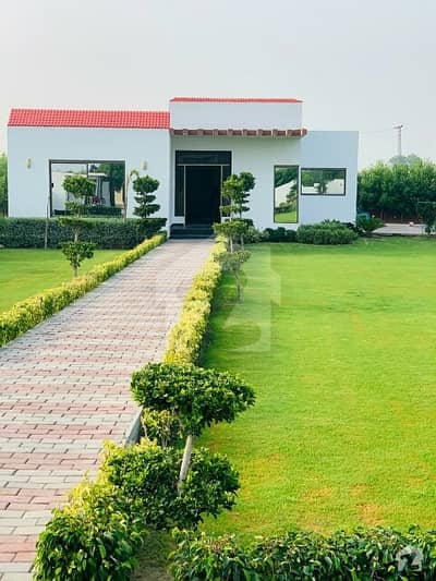 Farm House For Sale Near To Dha Phase 6 Farm House For Sale Near To Dha Phase 6