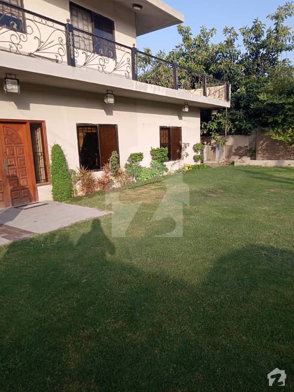 Luxury Furnished 1000 Yards Bungalow Available For Rent