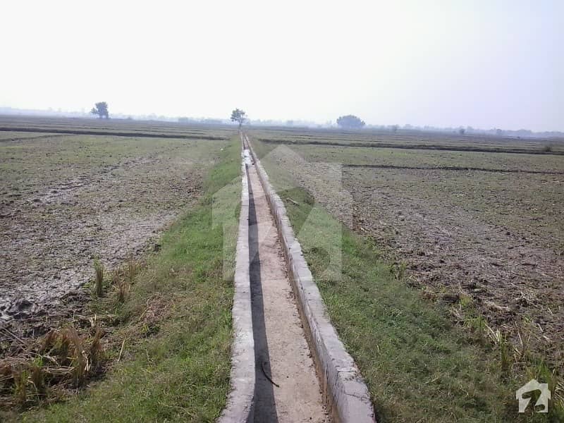 Agricultural Land For Sale In Village Gunj Sundwan Lahore QuaideAzam Interchange, Ring Road